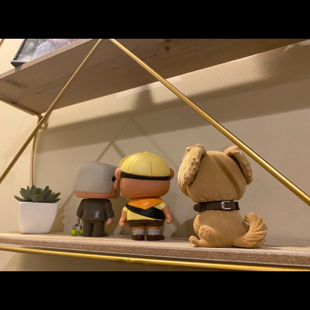 Funko Pop Up. Russell, Mr Fredickson and Dug - Picture 3 of 8